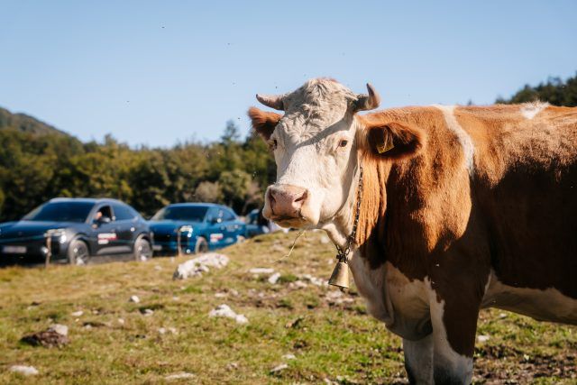 Porsche SUV Off Road PR (18)
