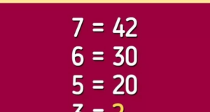 bdb20082bc4a1711d71d