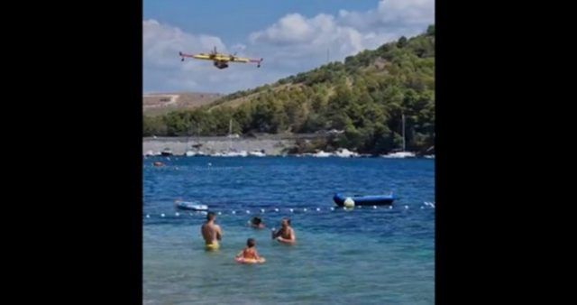 fa3564b3 445d 492f 9b02 3befb33fbf40