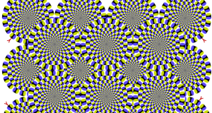 fe7c3671bfe43eb4c23f