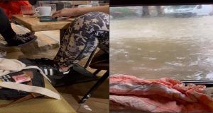 kolaz 2fotke 1200x628