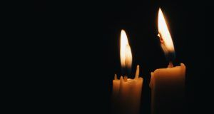 pexels oandremoura 2563040