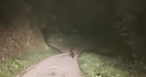 393083e5 b36d 48f3 a5f6 17899588dcd8