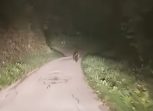 393083e5 b36d 48f3 a5f6 17899588dcd8