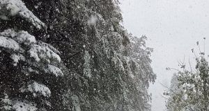 5.10.2025. 😀❄️ #snijeg #gorskikotar #hrvatska #croatia Foto @karlastarcevic2