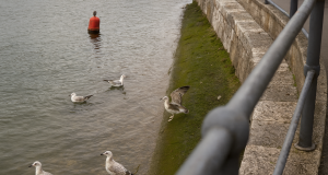 553620370 1516877539528283 5124032297605846474 n