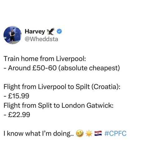 558464719 1261504389354252 8312475884777119886 n