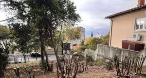 567580859 1410424277208390 9103765072913586079 n