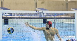 569332528 18241156939293475 979848478890544570 n