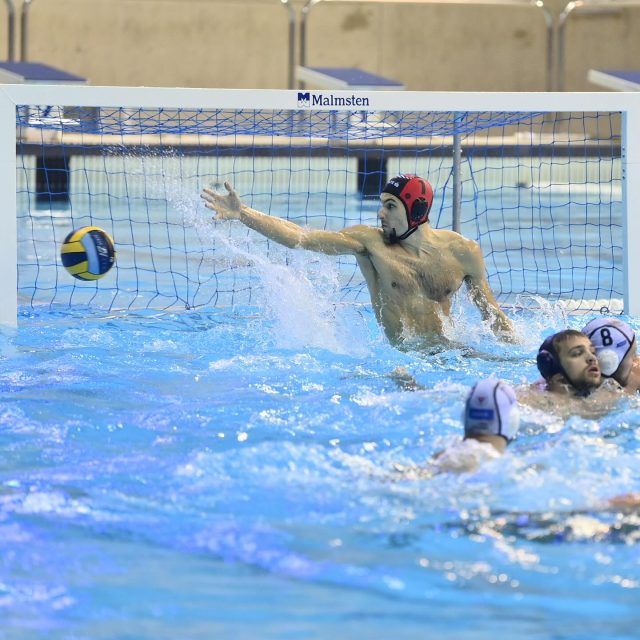 569332528 18241156939293475 979848478890544570 n