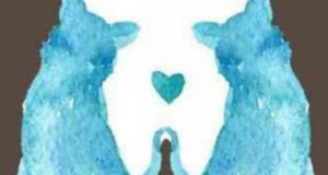 72c5cfbcd47c176ebc50