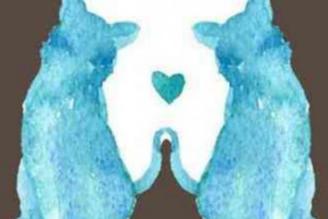 72c5cfbcd47c176ebc50