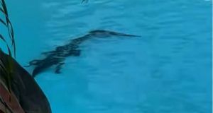 8955d4ae 6661 405d 81db 4421dbc31e4b