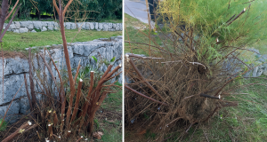 ChatGPT Image Oct 17, 2025, 04 25 09 PM