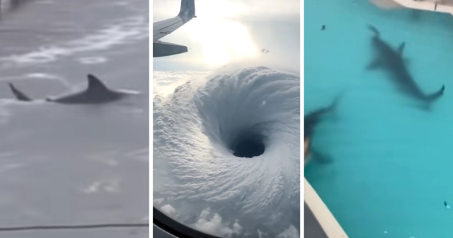 bff61b90 6a80 4edd a184 fd78b15033ce