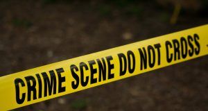 pexels kat wilcox 329096 923681 (3)