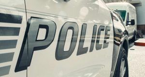 pexels kindelmedia 7785098