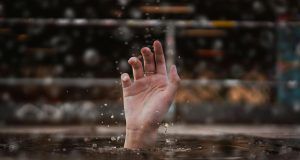 pexels lucanardone 3651632