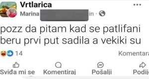 03deb35a 1bf5 4cf4 9808 244390a71813
