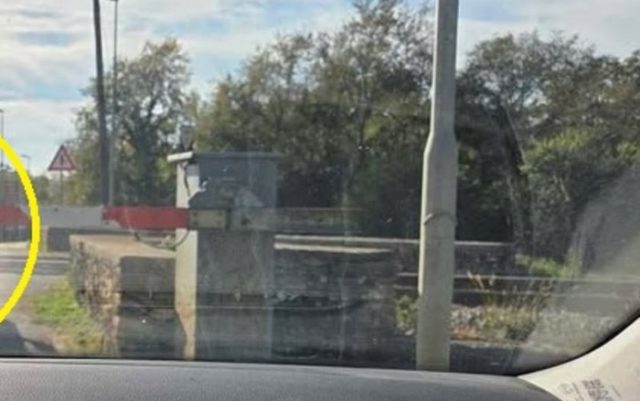 1f6d5984 0d28 444a a900 9f7f2ca285ab