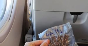 2796ec9b ee87 4204 8f2c 70c9db6cf3a5