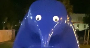 76331bf0 bac5 11f0 8e3e 7d2651eeebf3.jpg