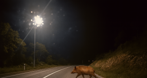 ChatGPT Image Nov 23, 2025, 06 23 13 PM