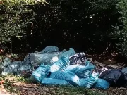 Rijeka ima komunalne redare, ali bi joj trebali detektivi da ih pronađu Otpad3