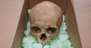 d0967560 b647 11f0 ba75 093eca1ac29b.jpg