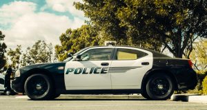 pexels kindelmedia 7785084 (1)