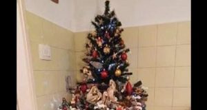 1588fee1 11db 417b 9ba1 4f8bc1eb666b