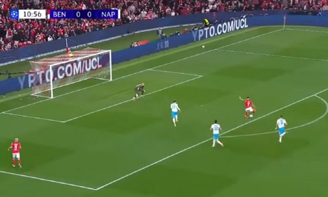 1aa9e1a6 281b 489e b8cc 046a44b08f20