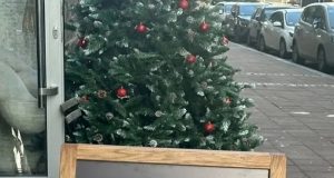 33872f4e 9dad 44e0 90ad a9715c593162