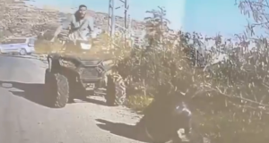 600b36b7 1706 4e5b 89a3 769f1efbc927