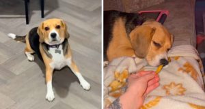 7d4ba172 f842 4317 8b57 30fce459b7a1