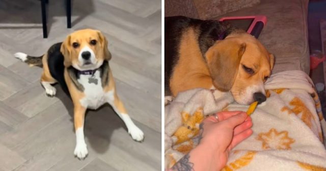 7d4ba172 f842 4317 8b57 30fce459b7a1