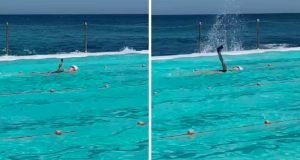 98e1aa0a 7ab2 4cc8 b3e2 24a3e242b1b5