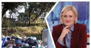 MixCollage 10 Dec 2025 03 29 PM 8332