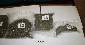 droga rab (1).v1