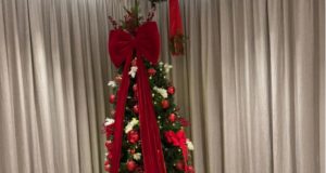 ff489f51 51c1 48e4 ad25 86a28a91d4fb (1)