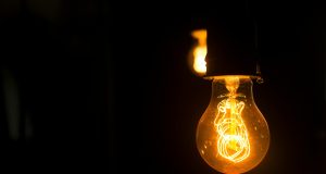 pexels daniel reche 718241 1556704 (1)