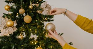 pexels julia volk 5272178