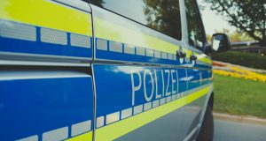 pexels markusspiske 3671134 (2)