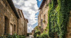 pexels pixabay 210017