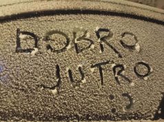 607585365 1573771220943387 6404793564177814174 n