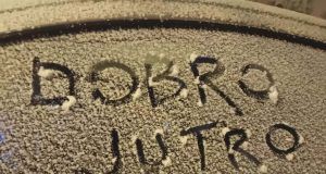 607585365 1573771220943387 6404793564177814174 n