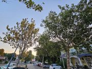 619541996 1315785783926643 2370956879918639730 n