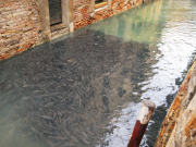 ChatGPT Image Jan 18, 2026, 11 29 28 PM