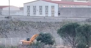 Rušenje drvoreda foto FB