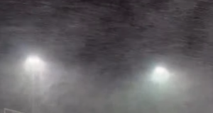 b0f02308 3da9 4b54 a94c 32517a6c4213